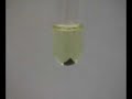 HCl + CuO