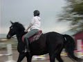 Cantering Dually