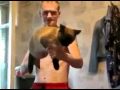 Gato ametralladora