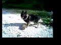 gl�ckliche Momente: Paiki holzt