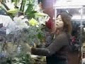 ??????????????????? girl of the Japanese flower ??????????????????? girl of the Japanese flower