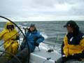 videos de sailing