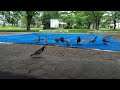 鳩の集会場＠2015年7月12日