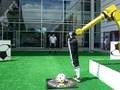 Peter @ FANUC KickerBot Automatica 2008