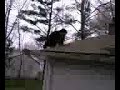 Sweet roof jump