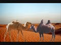 in un deserto un giorno si incontrarono, senza volerlo per caso si guardarono un dromedario ricco e un cammello povero.. guardate il video fino in fondo =)