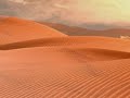 in un deserto un giorno si incontrarono, senza volerlo per caso si guardarono un dromedario ricco e un cammello povero.. guardate il video fino in fondo =)