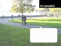 Polish Basics - Unit 1
