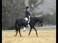 DCD Lucian El Cap Dressage_Test 1_100205