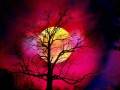 videos de PER TE MARY.wmv
