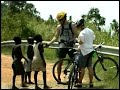 How to Survive Travel in the African Wilderness : How to Relate to the People of Africa How to Survive Travel in the African Wilderness : How to Relate to the People of Africa
