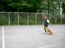 Ars - Great Training