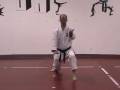 videos de Kata Empi