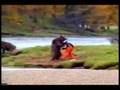 Kung Fu Black Bear fights man