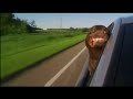 Смешные животные