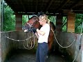 Sara Cerini rinfrescando kim Horse