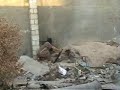 Insurgent Blows Himself Up