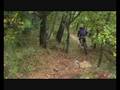 videos de figarider