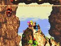 ok, i'm kinda obsessed with this game xd like in low-g labyrinth, you can lose a kong in krevice kreepers! hope you find it nice... game by rare. owned by nintendo.