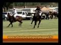 Showjumping Unplugged!TV- Del Marvelous Edition 08