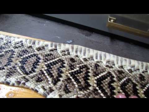 how to cure snake skin