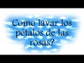 Como hacer Limonada de rosas y Miel de rosas