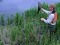 Summer trout fishing in the small lake Summer trout fishing in the small lake