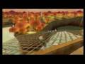 [MKWii] Maple Treeway World Record - 2' 19 329 by シュウト