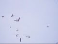 Speedriding Fiesch