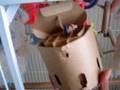 FORAGING TOYS