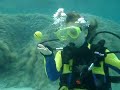 Becca Scuba diving