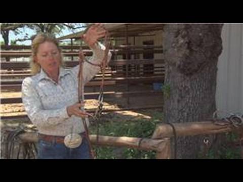 how to fit a d'ring snaffle