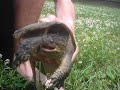 open rescue
