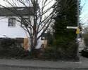 Weiden 2