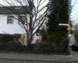 Weiden 2