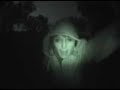 ad-feat-luca-zul-persico99-possetierra-o-muerte.html