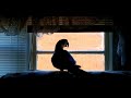 JACK THE TALKING MACAW