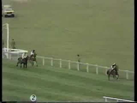 cheltenham gold cup