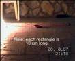 Burning petrol - benzina in fiamme