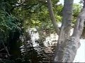 visita al río de tomas garrido