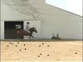 halleujah   horses