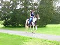 Halleujah - Horses