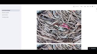 動画サムネイル