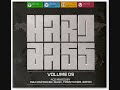 Hard bass - Ronald-v & DJ Dess