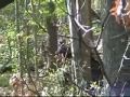 Pure Woodsball Episode 1
