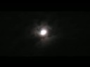 Moon Tickets