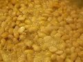 How to make miso paste.  - ???????