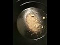 How To Pan Paydirt - The easy way - Alaska
