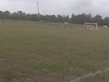 VID 00066