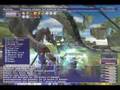 FFXI Bahamut Version 2 vs SPQR (Ifrit Server)
